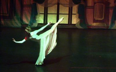 Image & Video Galleries